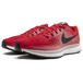 Nike Pegasus 34