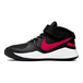 Nike Team Hustle D 9 FlyEase