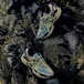 MYGE x Asics Gel-Kahana TR V2 Y2K