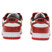 Nike Dunk Low OKHR