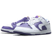Nike Dunk Low Flip The Old School