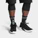 Adidas Pro Bounce 2018 Low