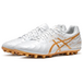 Asics DS Light Ag