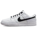 Nike Dunk Low Retro Vibe