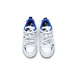 Nike Dunk Disrupt