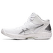 Asics Gel-Hoop V15