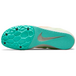 Nike Zoom Rival D 10