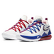 Nike LeBron 17
