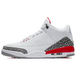 Air Jordan 3 Retro hall of fame