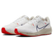 Nike Air Zoom Pegasus 40