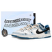 Nike Dunk TMS