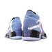 Air Jordan 29 Riverwalk
