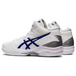Asics Gel-Hoop V12