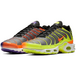 Nike Air Max Plus Color Flip