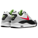 Nike Air Wildwood ACG
