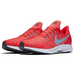 Nike Pegasus 35
