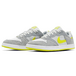 Nike SB Alleyoop