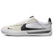 Nike BRSB Blue Ribbon SB