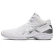 Asics Gel-Hoop V12