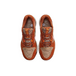 Nike ACG Lowcate