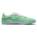 Nike SB Ishod