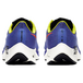 Nike Pegasus 37