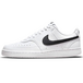 Nike Court Vision 1 Low