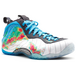 Nike Foamposite One WeatherMan