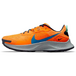 Nike Pegasus TRail 3
