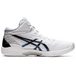 Asics Gel-Hoop V14