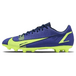 Nike Mercurial Vapor 14 HG