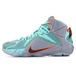 Nike LeBron 12 NSRL