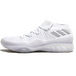 Adidas Crazy Explosive 2017