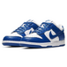 Nike Dunk Low Kentucky