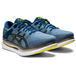 Asics Metaride