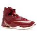 Nike LeBron 13 Bronze