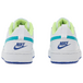 Nike Court Borough Low 2 GS