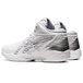 Asics Gel-Hoop V14 E
