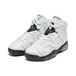 Air Jordan 6 Alligator GS