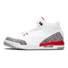 Air Jordan 3 Retro Hall of Fame