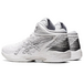 Asics Gel-Hoop V14