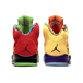 Air Jordan 5 Retro Se what the