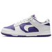 Nike Dunk Low Flip The Old School