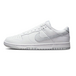 Nike Dunk GS