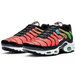 Nike Air Max Plus Worldwide