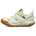Nike ACG Mountain Fly Low GTX Se