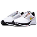 Nike Pegasus 37