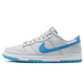 Nike Dunk 811