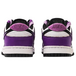 Nike Dunk Low Retro Vibe