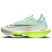 Nike Air Zoom AlphaFly Next 2 TPU